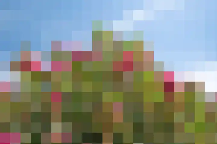 Haaglaan 5 Helmond thumbnail 31