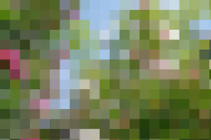 Haaglaan 5 Helmond thumbnail 32
