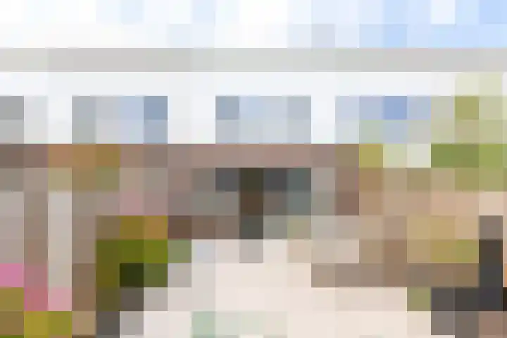 Haagland 20 Vlissingen thumbnail 25