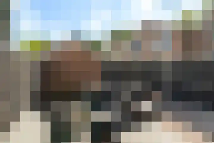 Haagoord 18 Rotterdam thumbnail 32