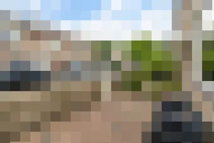 Haagoord 18 Rotterdam thumbnail 33