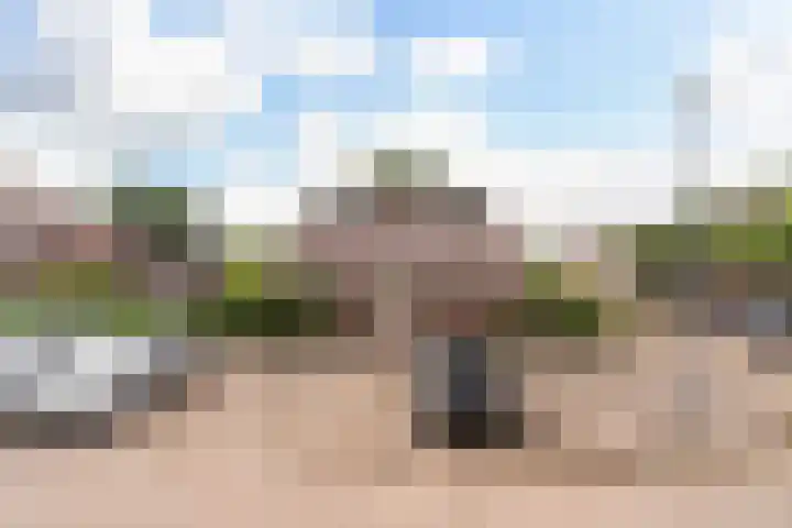 Haagoord 2 Rotterdam thumbnail 23
