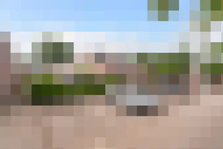Haagoord 2 Rotterdam thumbnail 24