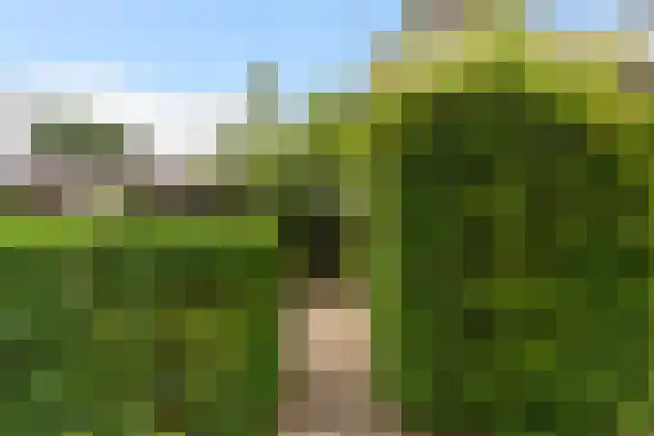 Haagoord 2 Rotterdam thumbnail 25