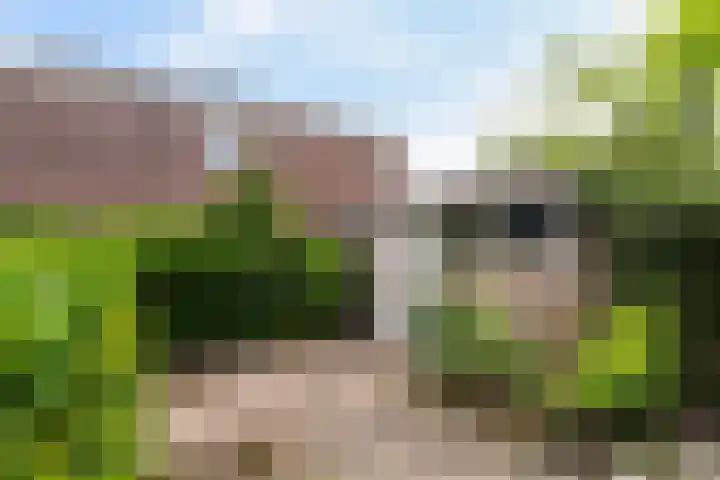 Haagoord 2 Rotterdam thumbnail 26