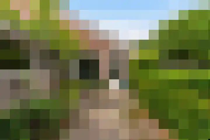 Haagoord 2 Rotterdam thumbnail 27