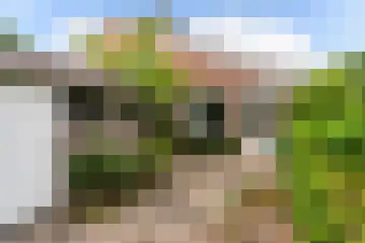 Haagoord 2 Rotterdam thumbnail 34