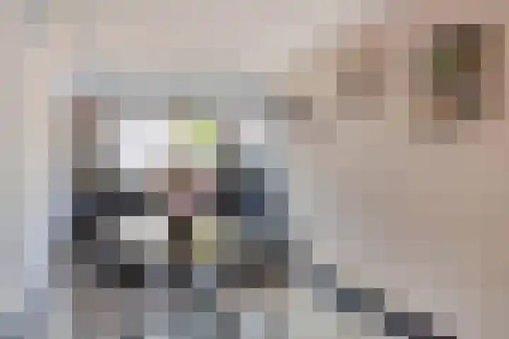 Haagoord 6 Rotterdam thumbnail 10