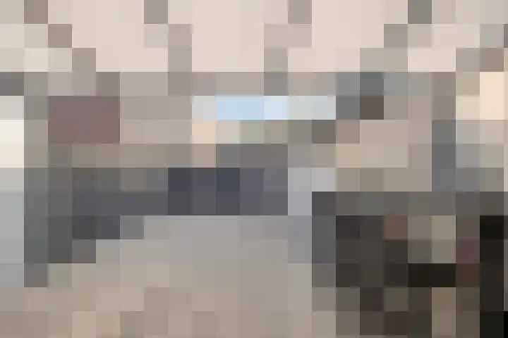Haagoord 6 Rotterdam thumbnail 14