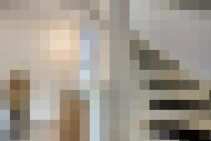 Haagoord 6 Rotterdam thumbnail 22
