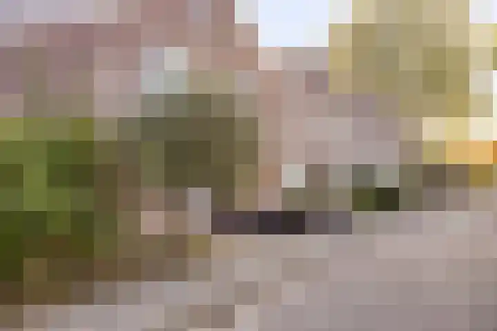 Haagoord 6 Rotterdam thumbnail 27
