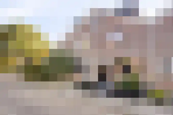 Haagoord 6 Rotterdam thumbnail 28