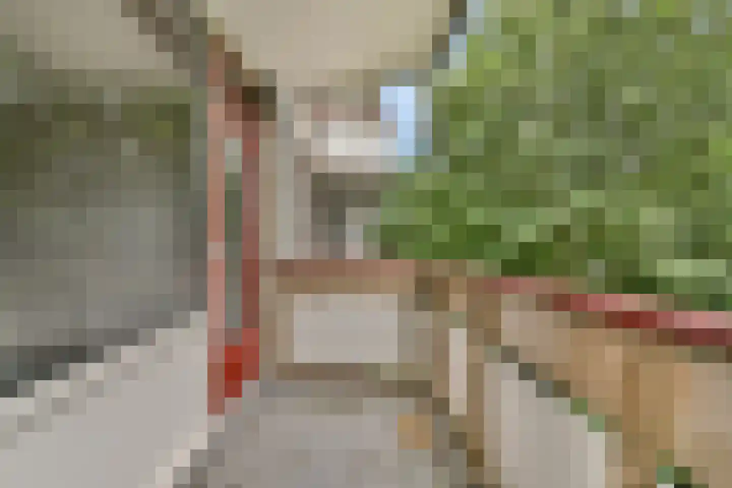 Haagplein 29 Leiden thumbnail 20