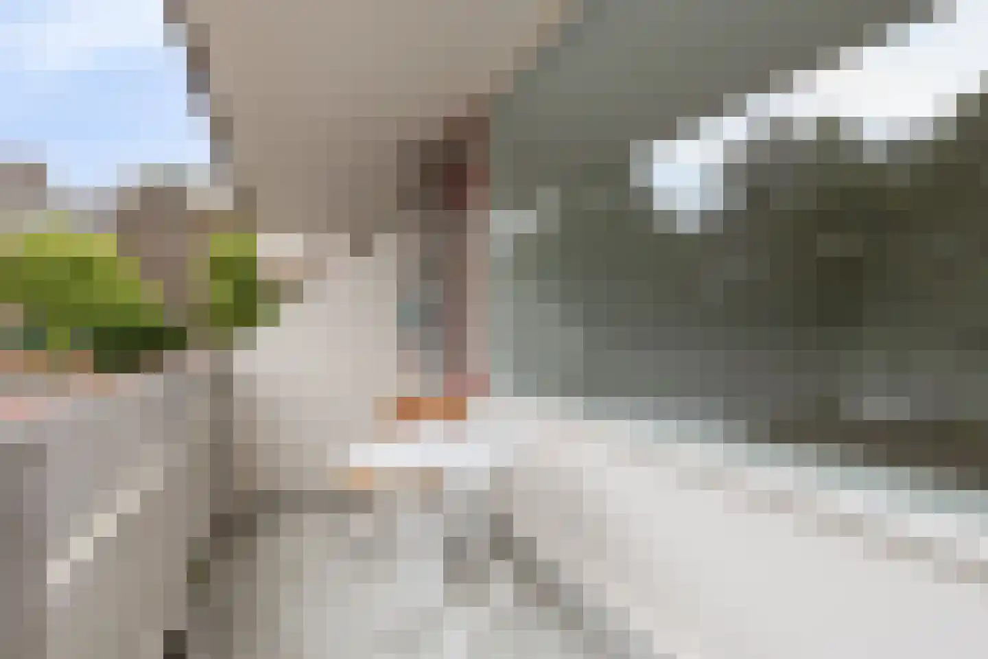 Haagplein 4 Leiden thumbnail 17