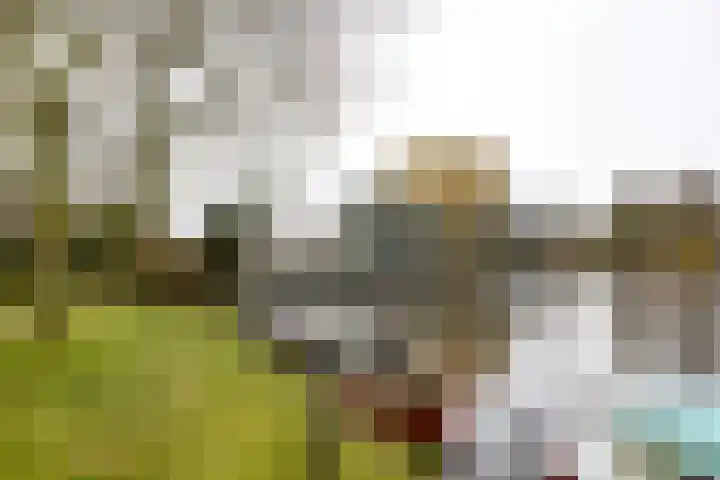 Haagplein 81 Leiden thumbnail 24