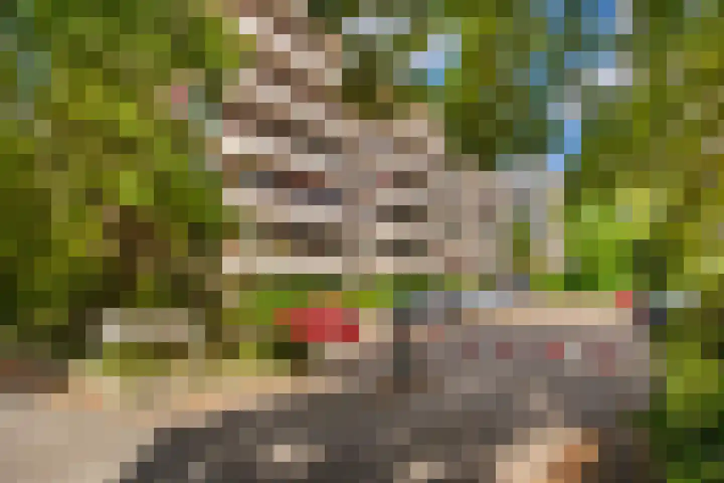 Haagplein 87 Leiden thumbnail 18