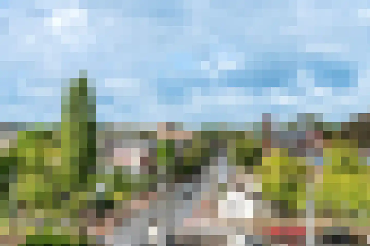 Haagplein 92 Leiden thumbnail 12