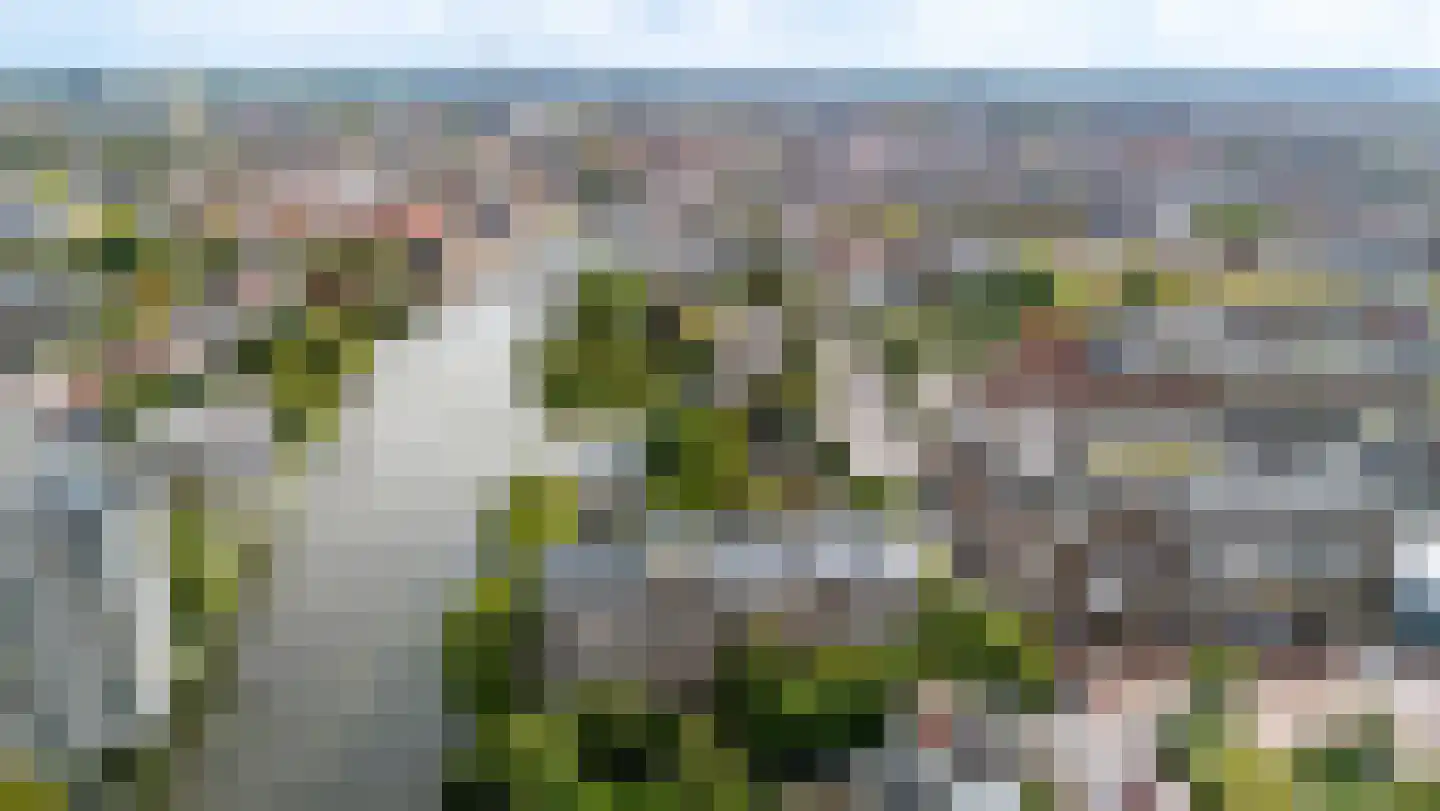 Haagplein 92 Leiden thumbnail 23