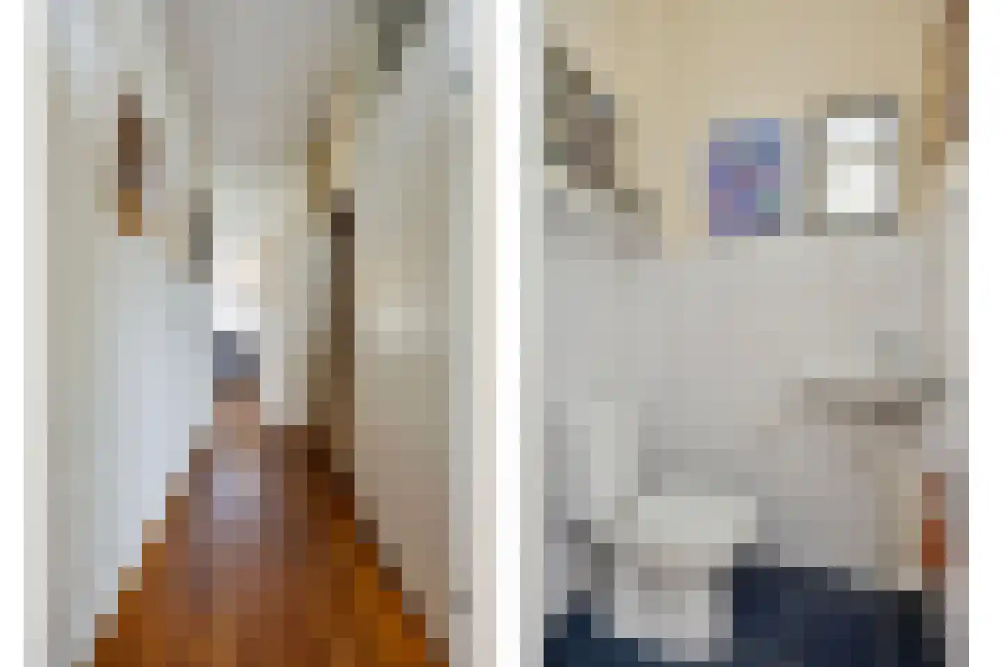 Haagpoort 25 Oss thumbnail 18