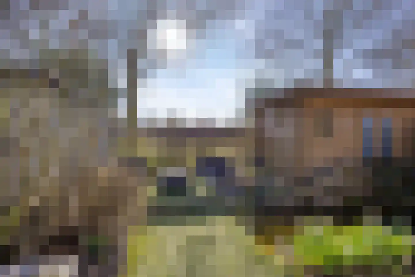 Haagpoort 25 Oss thumbnail 38