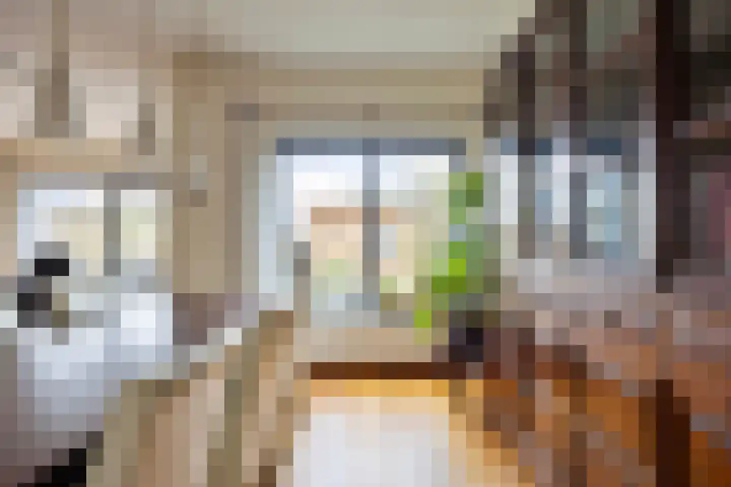 Haagpoort 25 Oss thumbnail 7