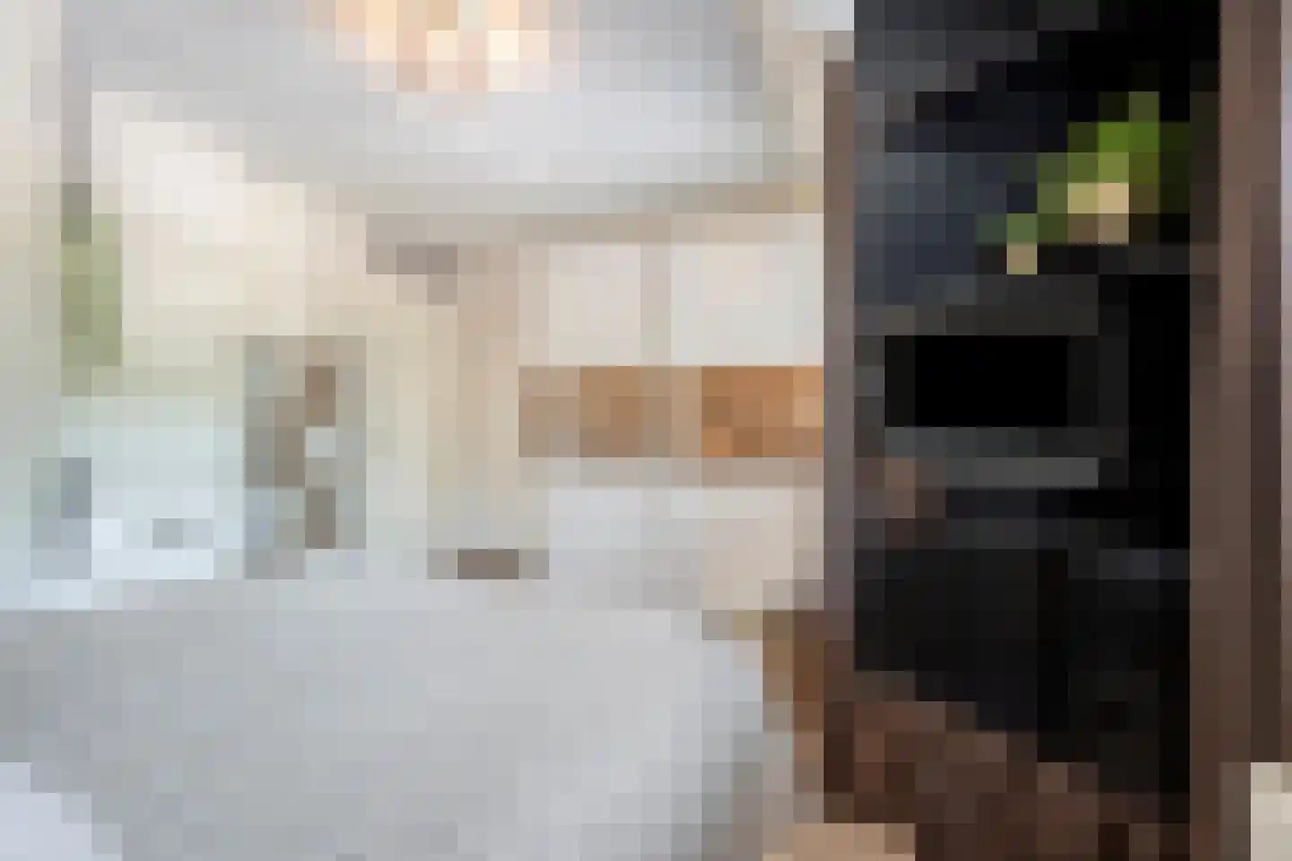 Haagpoort 36 Oss thumbnail 15