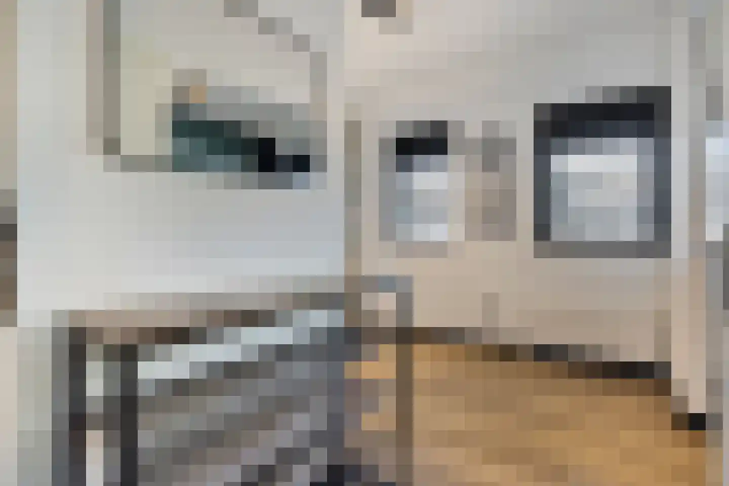 Haagpoort 36 Oss thumbnail 17