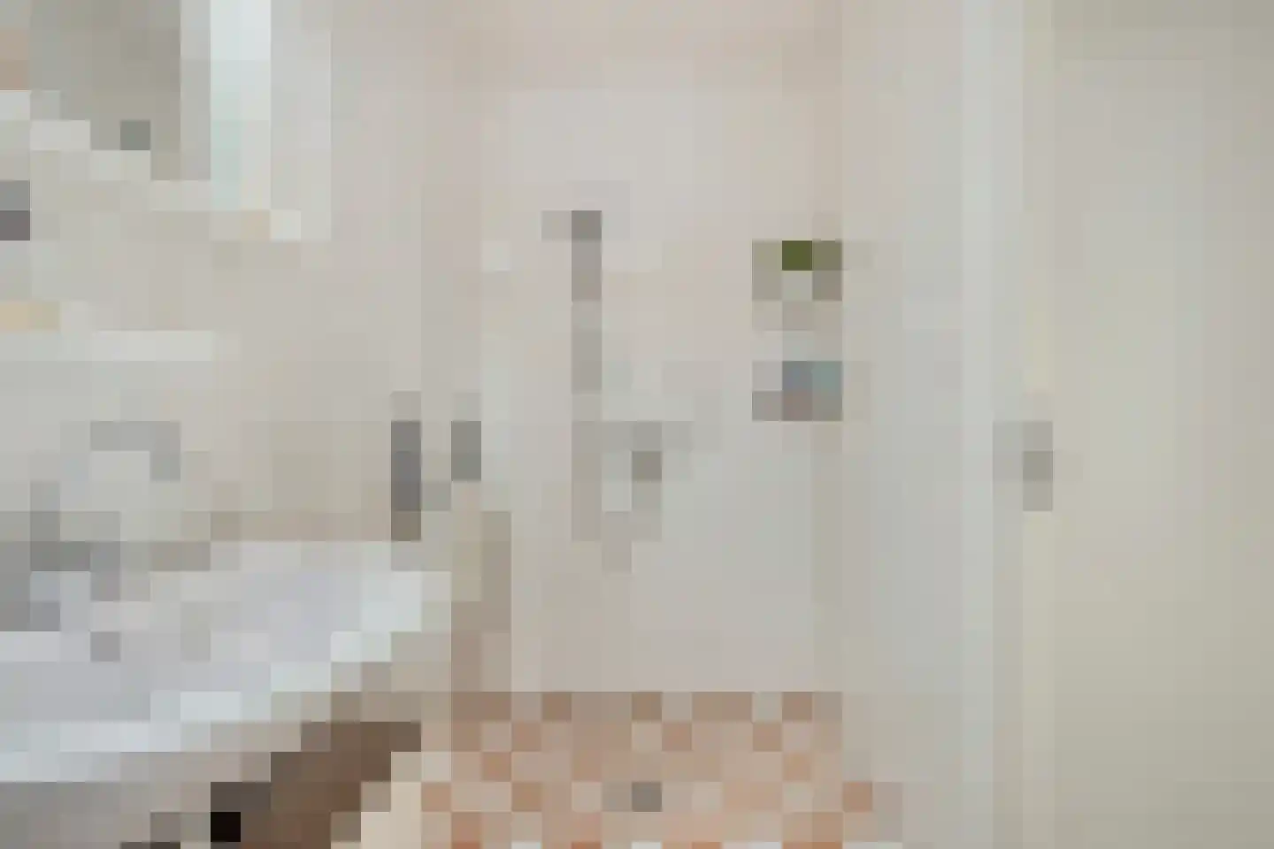 Haagpoort 36 Oss thumbnail 20