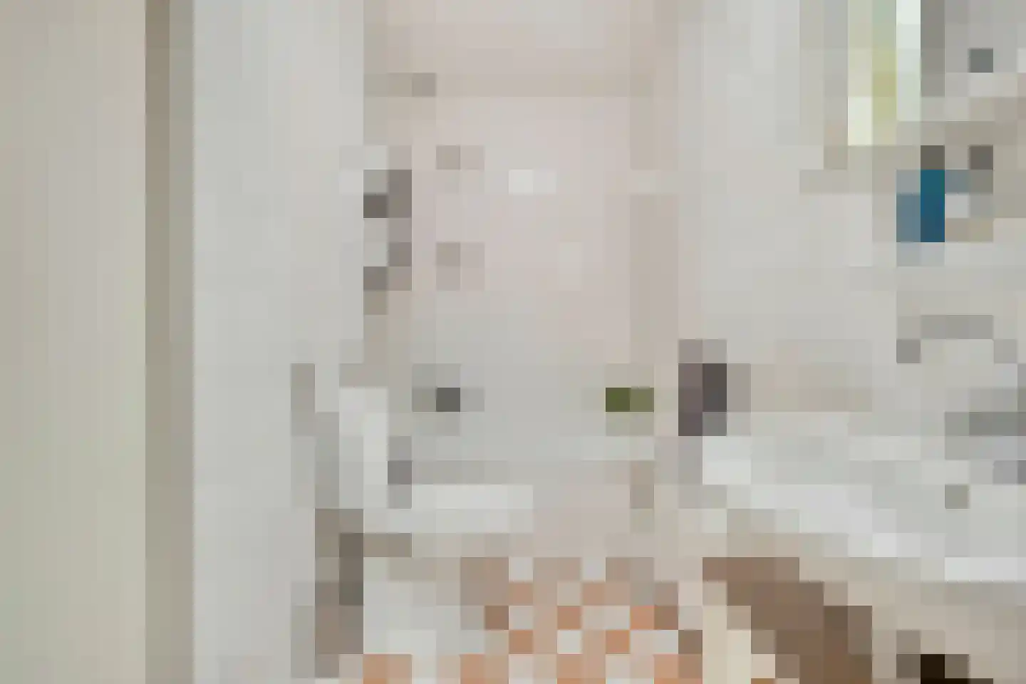 Haagpoort 36 Oss thumbnail 21