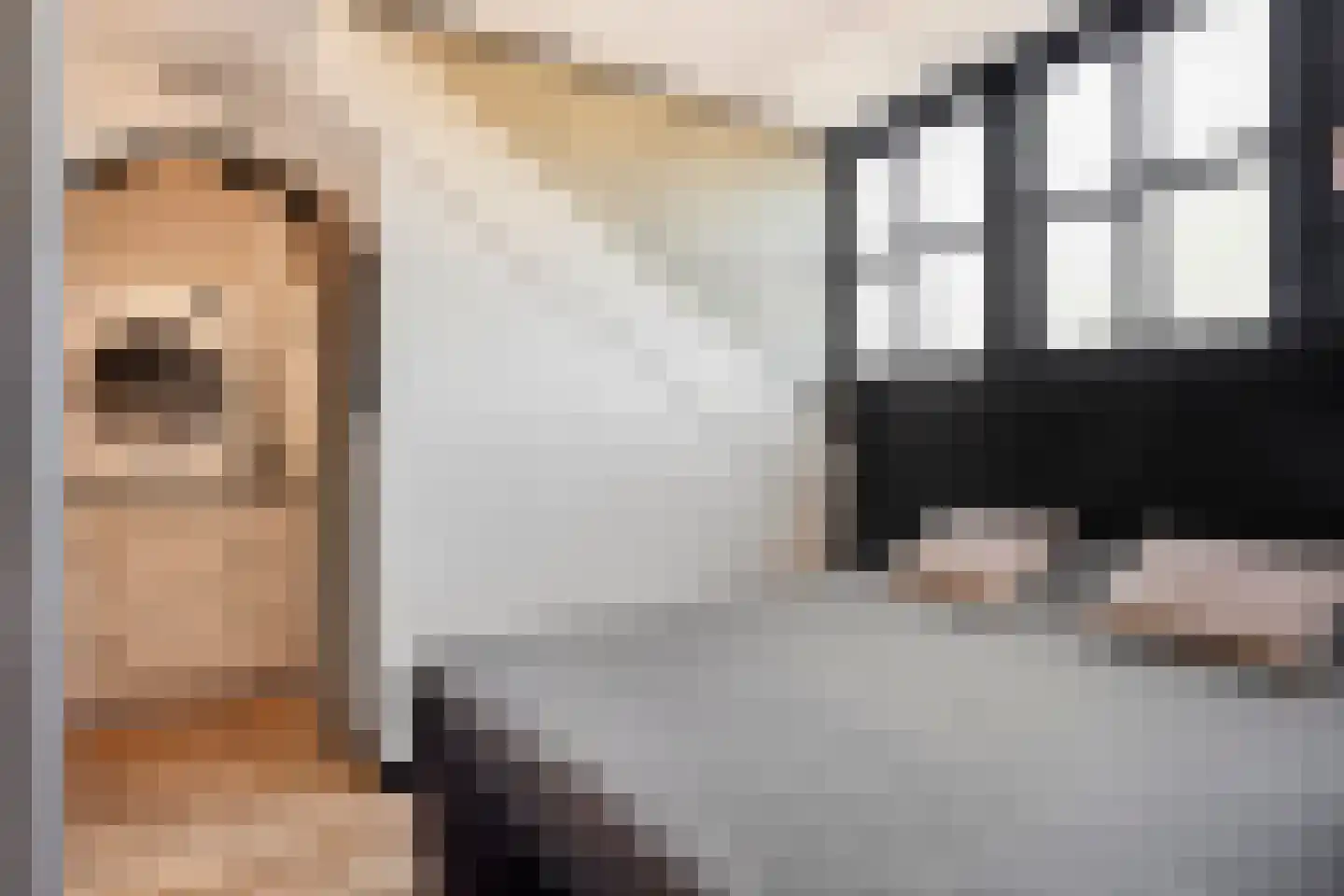 Haagpoort 36 Oss thumbnail 24