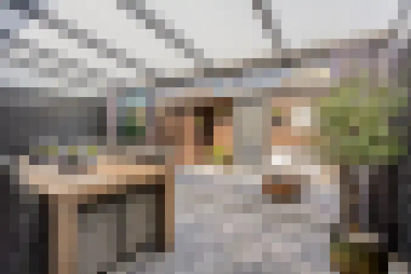 Haagpoort 36 Oss thumbnail 26