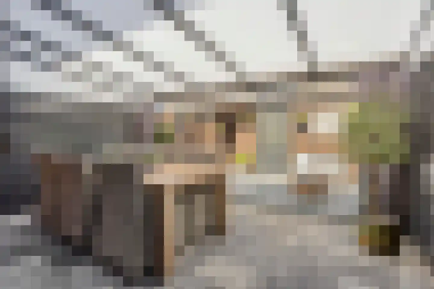 Haagpoort 36 Oss thumbnail 4