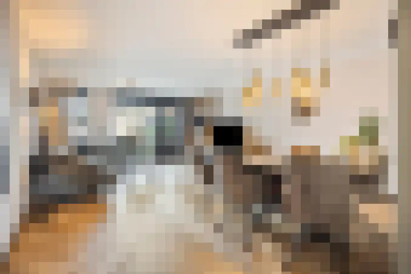 Haagpoort 36 Oss thumbnail 7