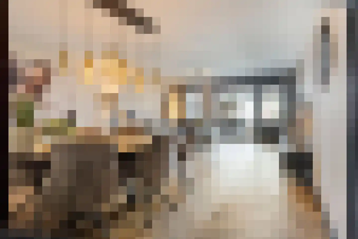Haagpoort 36 Oss thumbnail 8