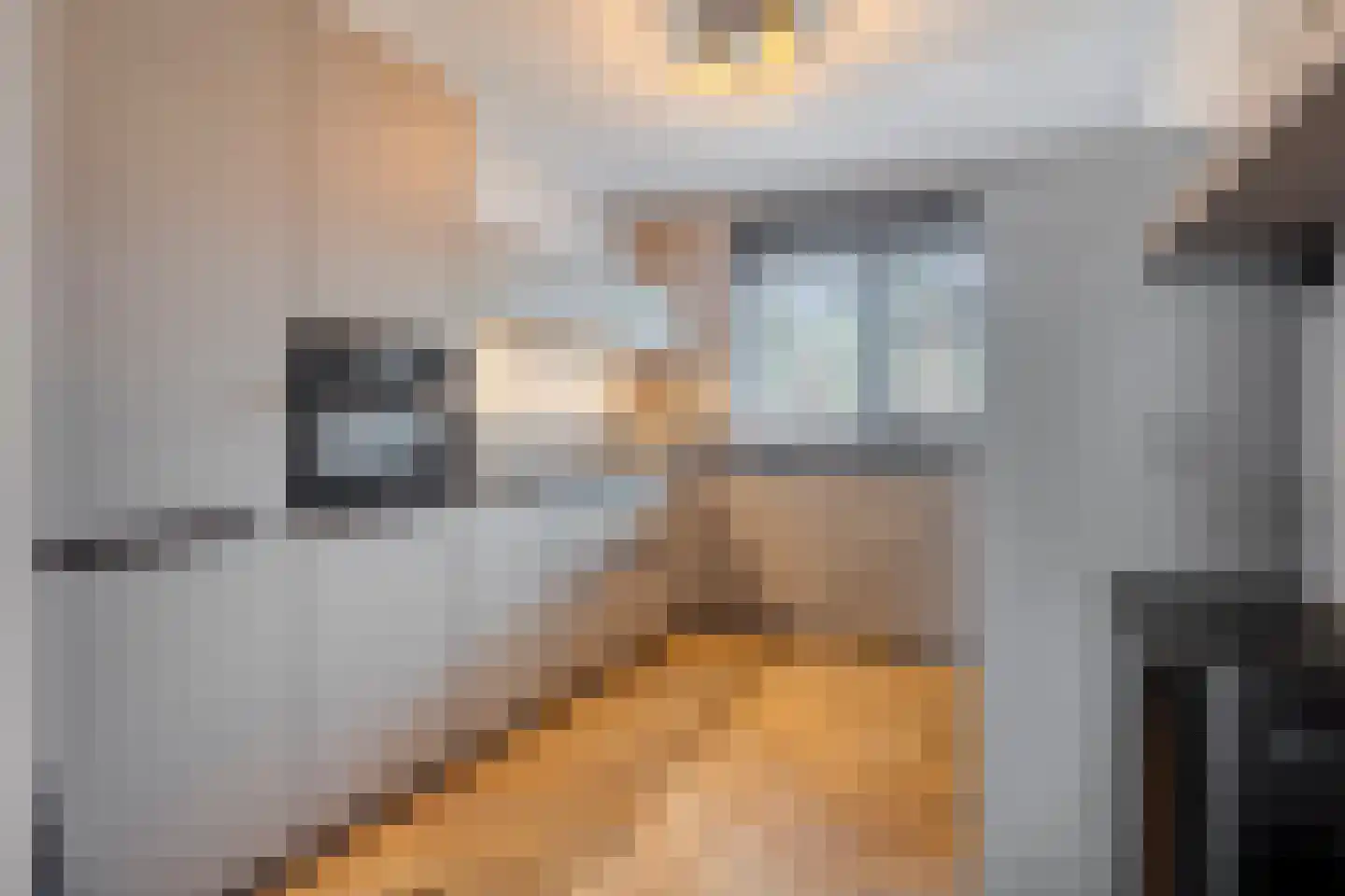 Haagpoort 36 Oss thumbnail 9