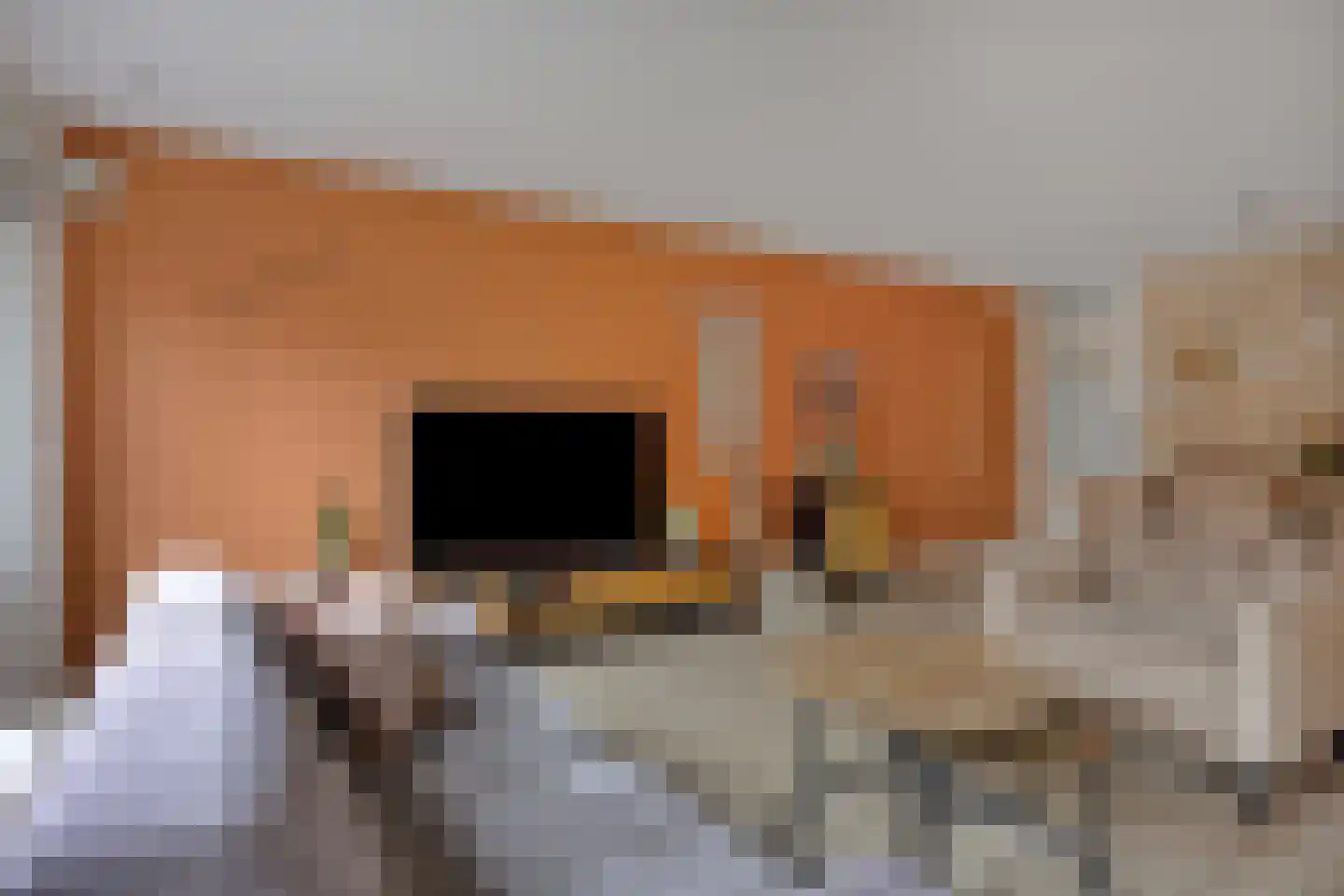 Haagpoort 44 Oss thumbnail 10