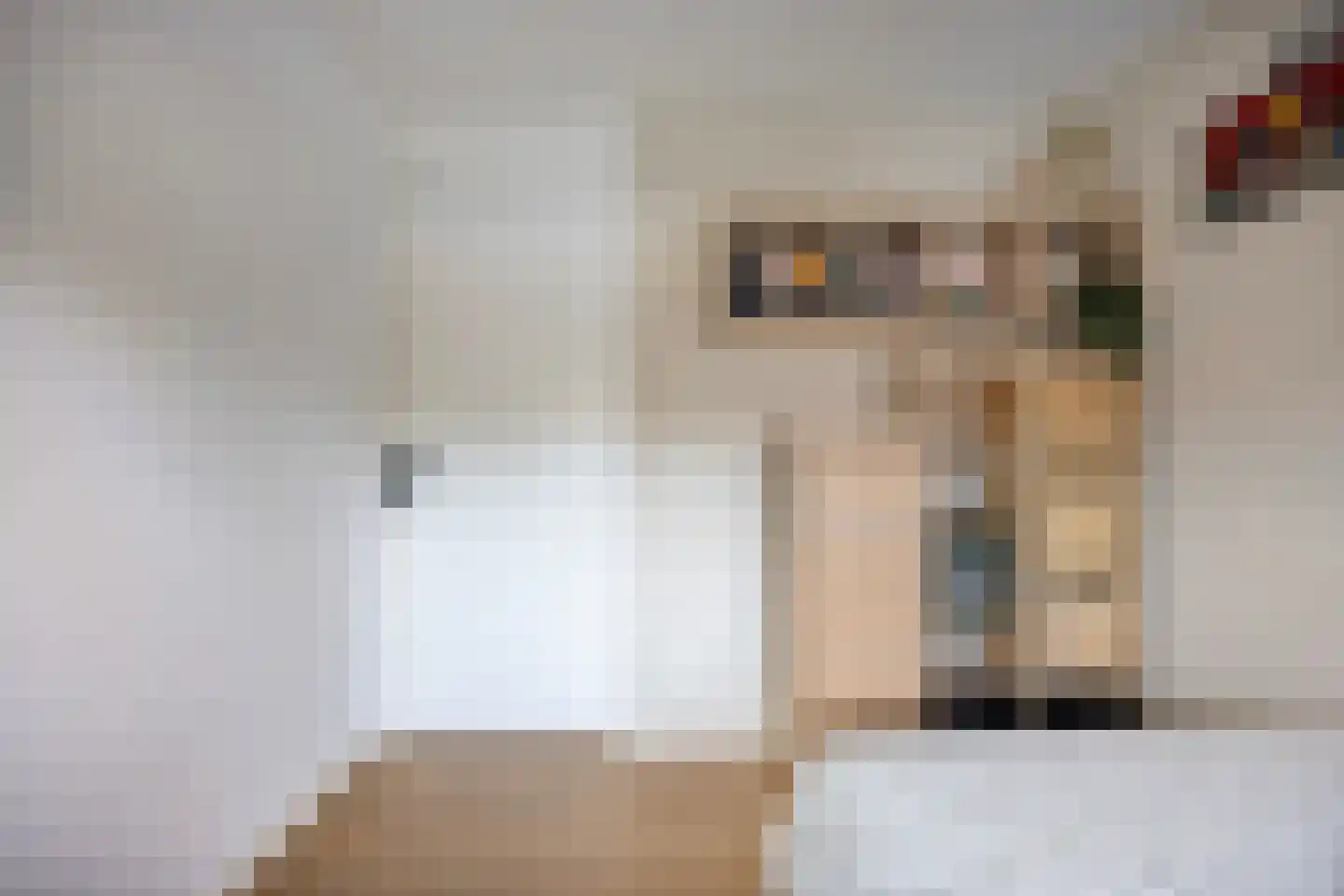 Haagpoort 44 Oss thumbnail 21