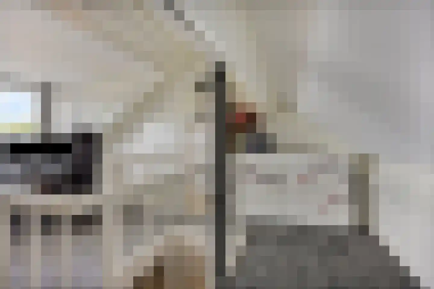 Haagpoort 44 Oss thumbnail 27