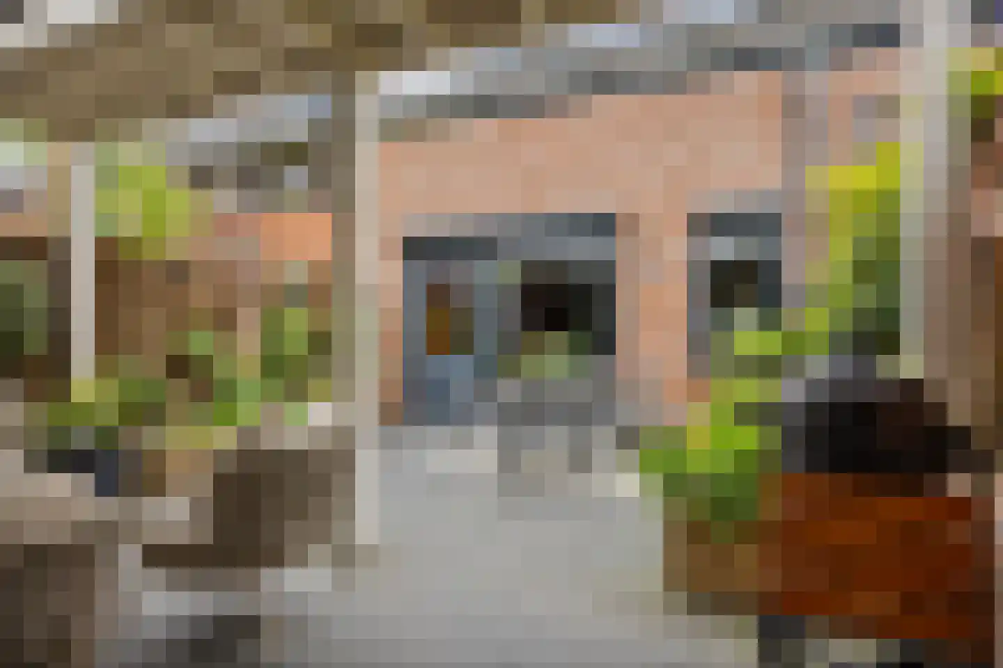 Haagpoort 44 Oss thumbnail 30