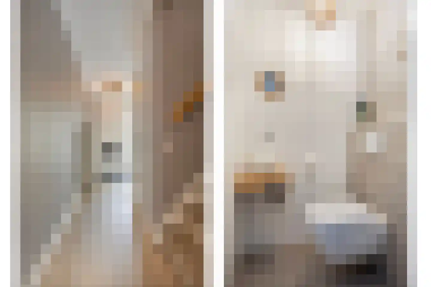 Haagpoort 44 Oss thumbnail 6