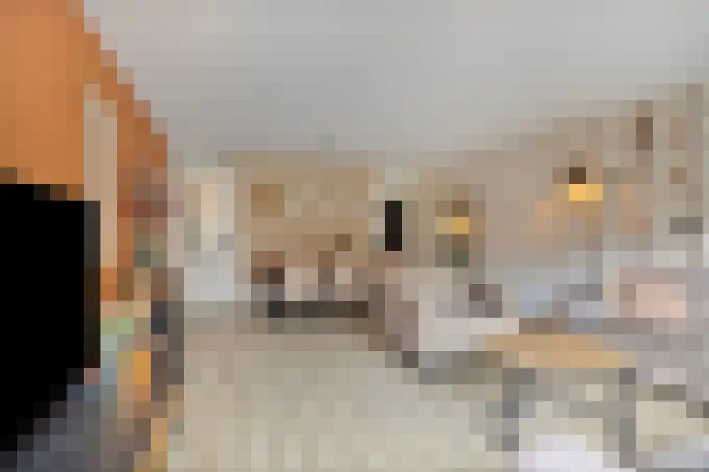 Haagpoort 44 Oss thumbnail 9