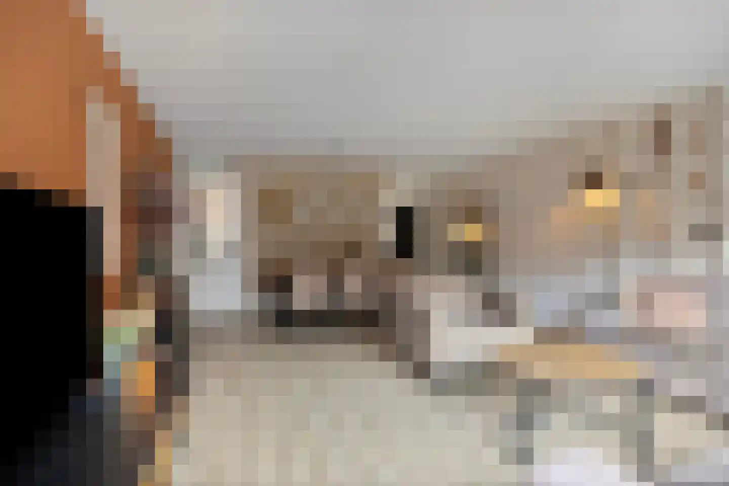 Haagpoort 44 Oss thumbnail 9