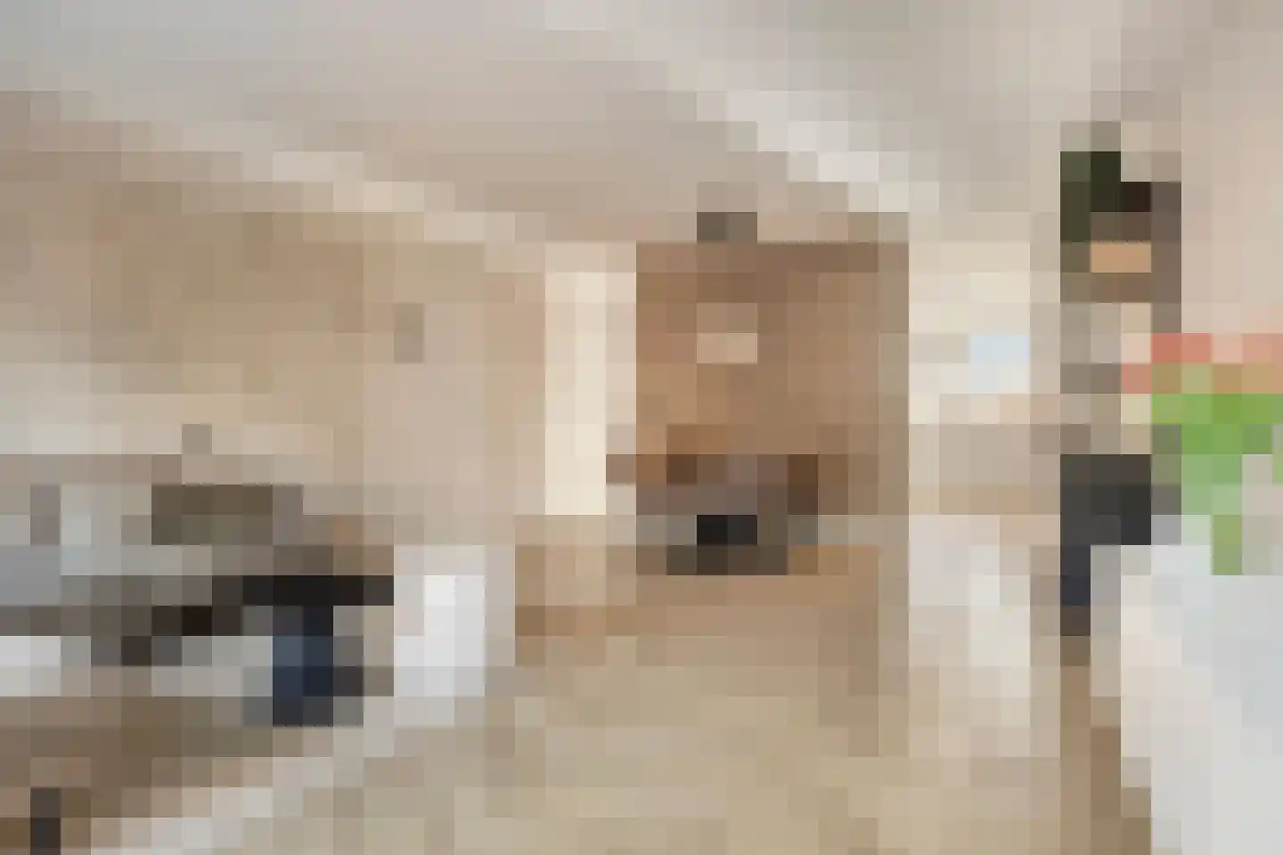 Haagpoort 48 Oss thumbnail 10