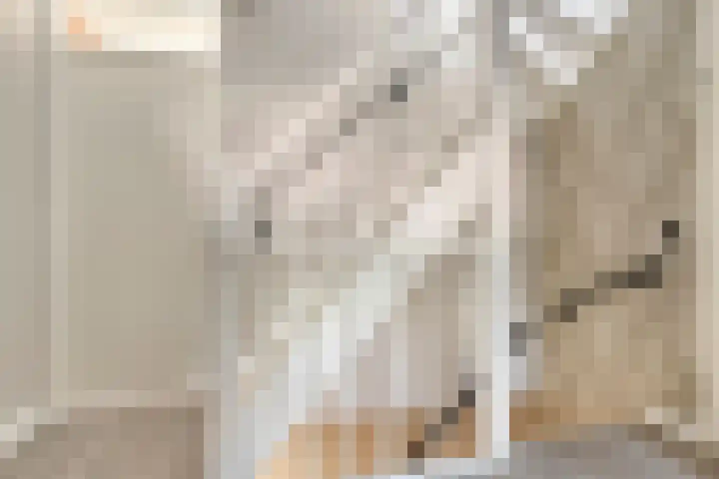 Haagpoort 48 Oss thumbnail 14