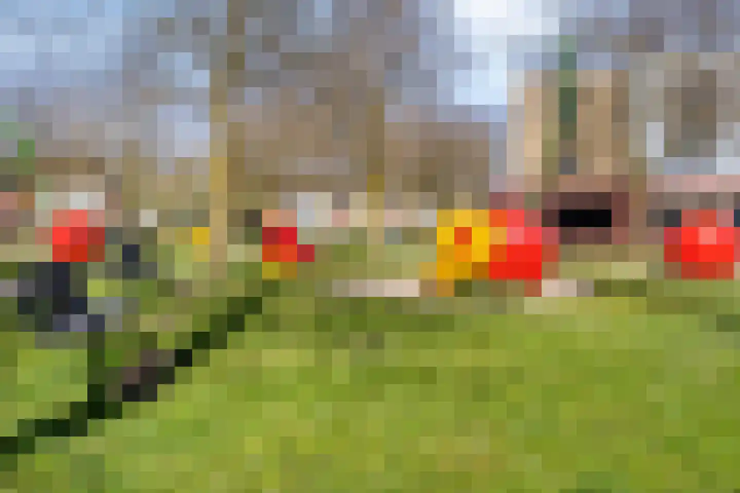 Haagpoort 48 Oss thumbnail 32