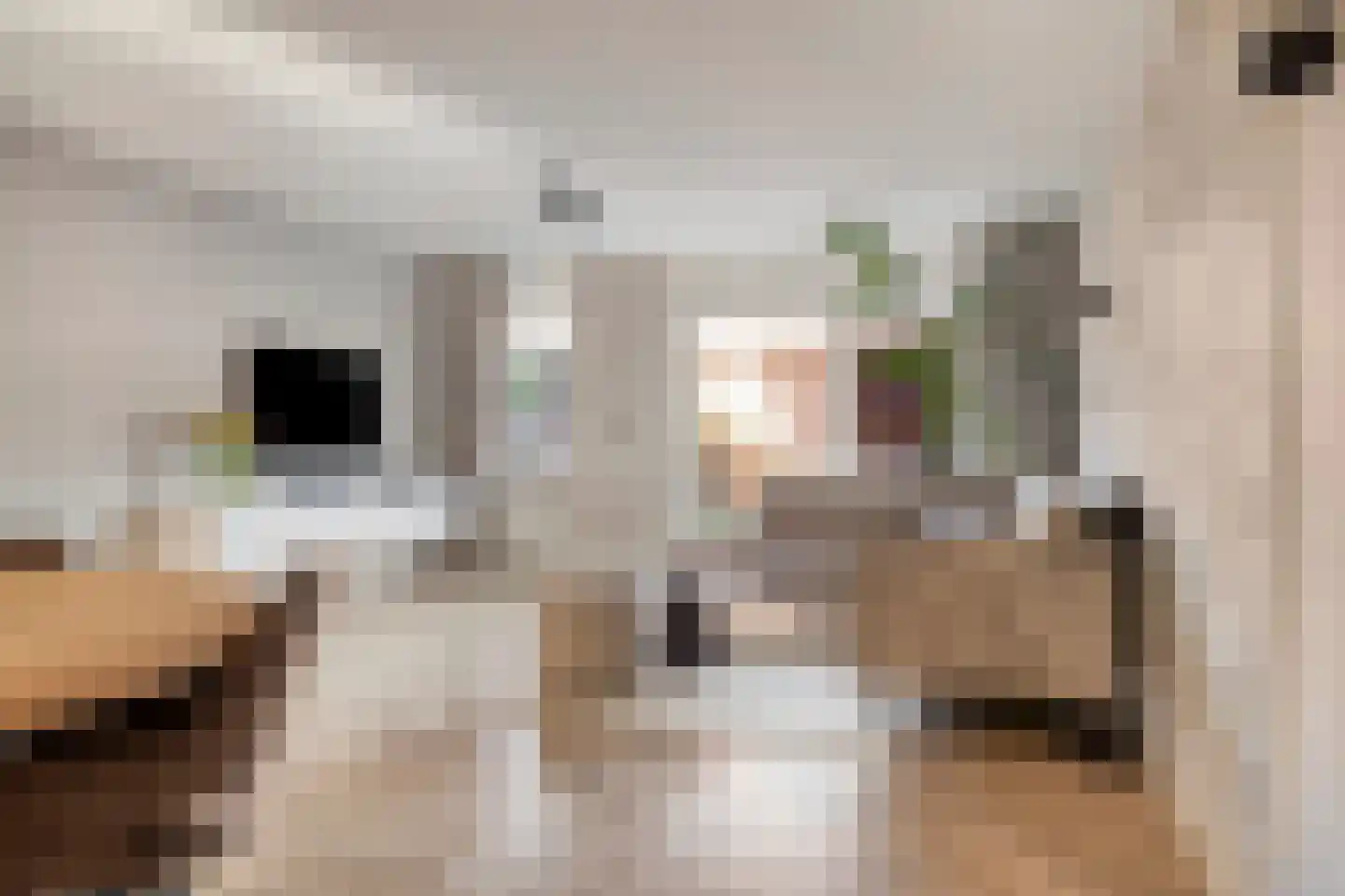 Haagpoort 48 Oss thumbnail 7