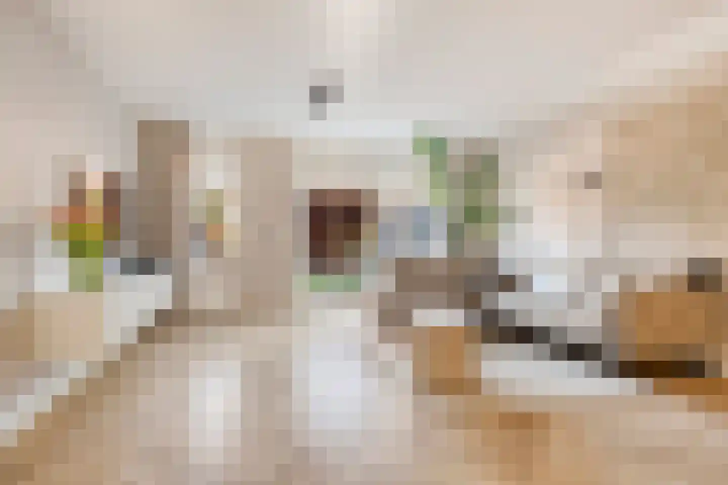Haagpoort 48 Oss thumbnail 8