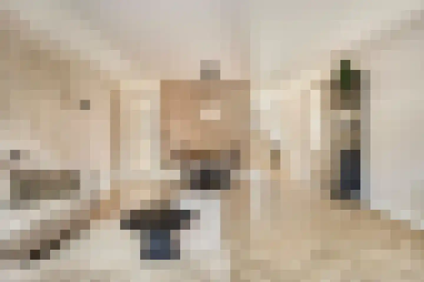 Haagpoort 48 Oss thumbnail 9