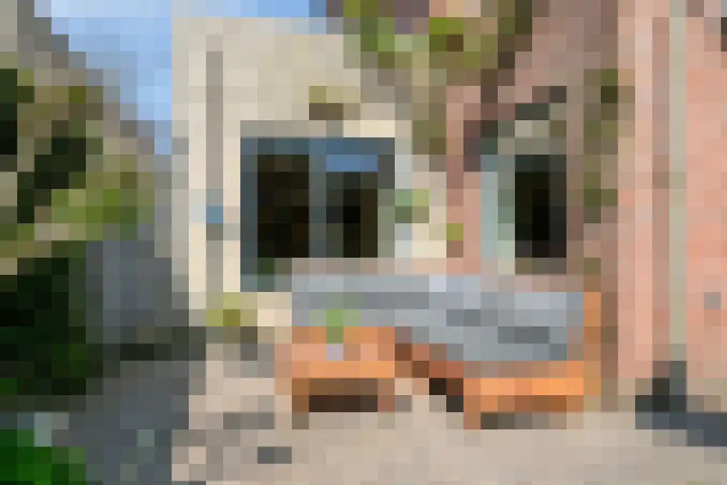 Haagpoort 9 Oss thumbnail 33