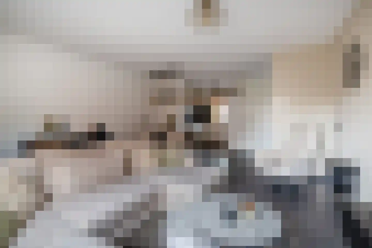 Haagsestraat 10 Stellendam thumbnail 11